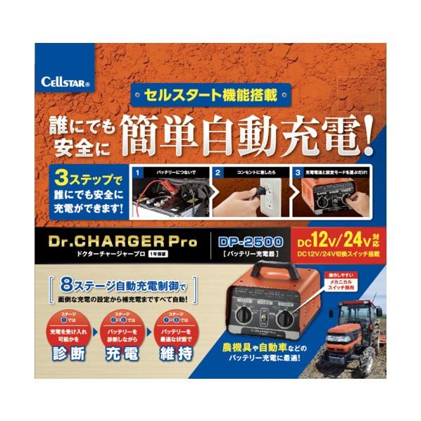 セルスター工業 バッテリー充電器 DP-2500｜diy-tool｜02