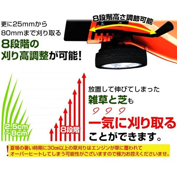 Dreamlink グリーンマスタープロDL20 オレンジ色 58cm×120cm×72cm 
