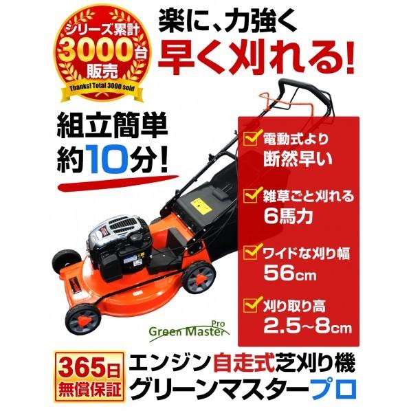 Dreamlink グリーンマスタープロDL20 オレンジ色 58cm×120cm×72cm