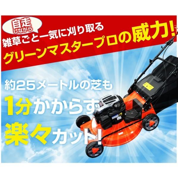Dreamlink グリーンマスタープロDL20 オレンジ色 58cm×120cm×72cm 