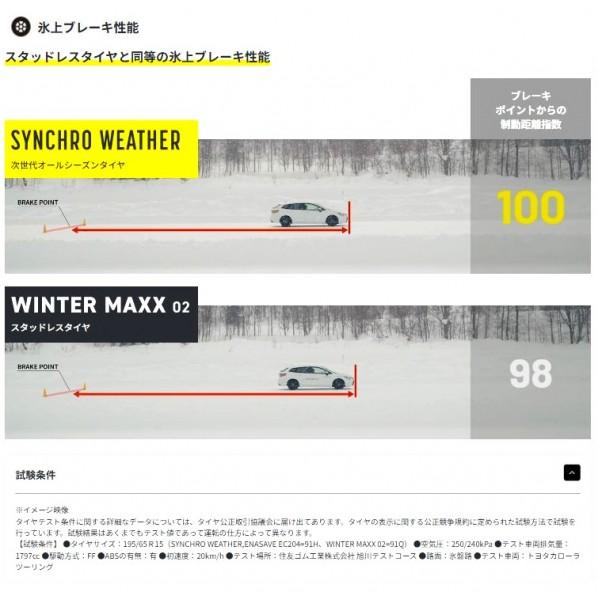 ※法人専用品※オールシーズンタイヤ SYNCHRO WEATHER オールシーズンタイヤ SYNCHRO WEATHER 275/35R20 102V XL 361025 1本の画像