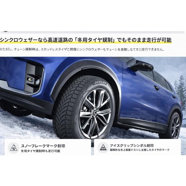 ※法人専用品※オールシーズンタイヤ SYNCHRO WEATHER オールシーズンタイヤ SYNCHRO WEATHER 275/35R20 102V XL 361025 1本の画像