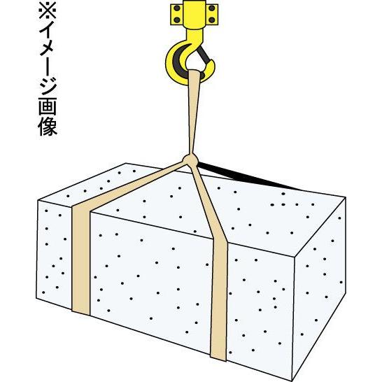 エスコ スリングチェーン 2.5tonx1.5m EA981VB-15Aの画像