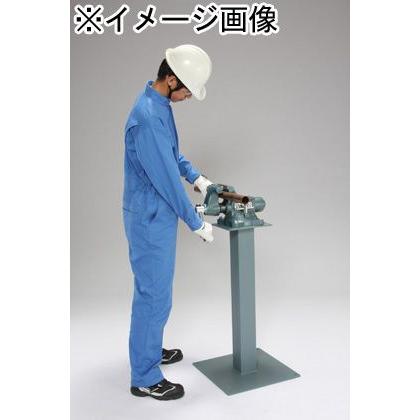 エスコ バイス用ベース(EA525WC-115140用) 850mm EA525WC-850