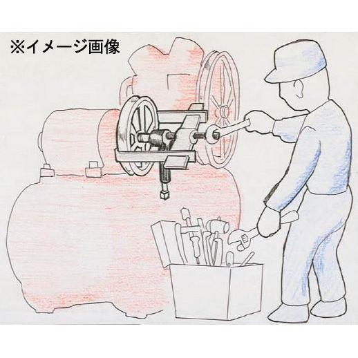 エスコ ［固定ねじ付］スライド式プーラー 250mm EA500AG-250_1