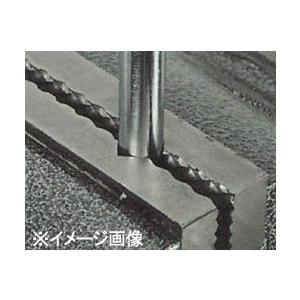 エスコ ワークショップバイス 170mm EA525K-170の画像