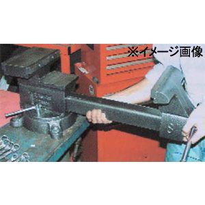 エスコ メカニックバイス［リバーシブル］ 200mm EA525KA-200 1個_1