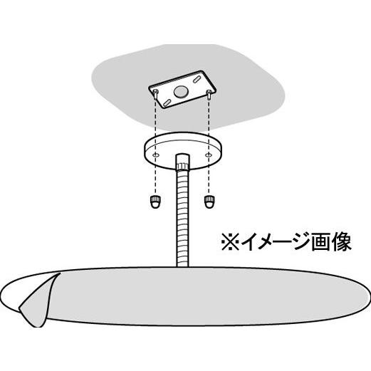 エスコ ［アクリル製］オーバル型ミラー 680×330mm EA724ZK-32の画像