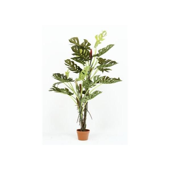 フジボウエキ 観葉植物 スフ リット 22 グリーン グリーンデコ鉢付 F94 0129 Diy Factory Online Shop 通販 Yahoo ショッピング