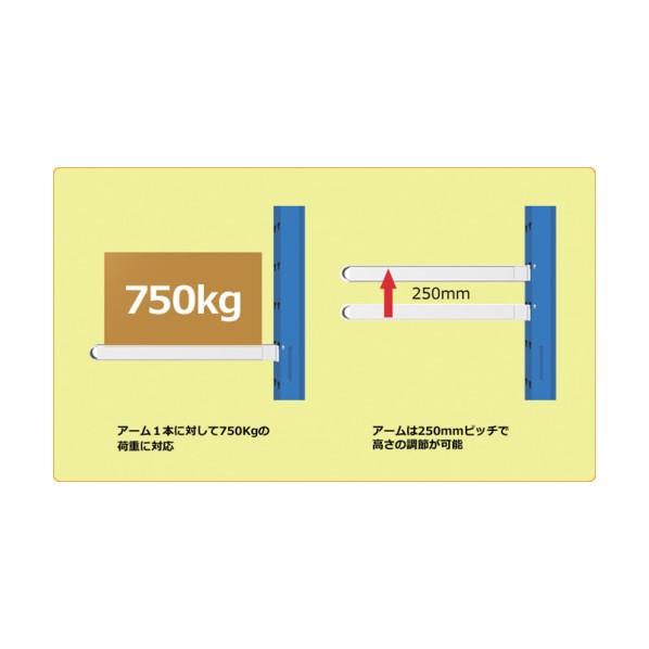 ゴーリキ バーラック 長尺ラック ピッカー750（重量用） 両側基本 H4000×間口1000×奥行1350mm 黒/青 BT75-K401012-3R_4