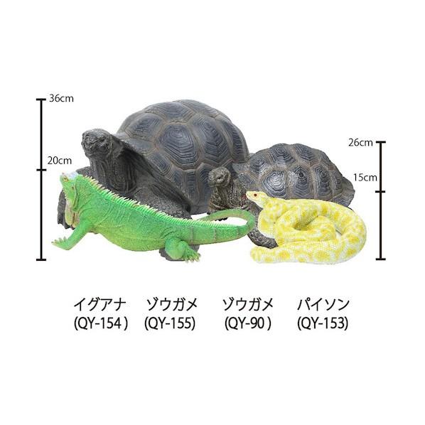 グリーンクロス パイソン QY-153 6300028649の画像