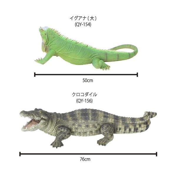 グリーンクロス クロコダイル QY-156 6300028656_1