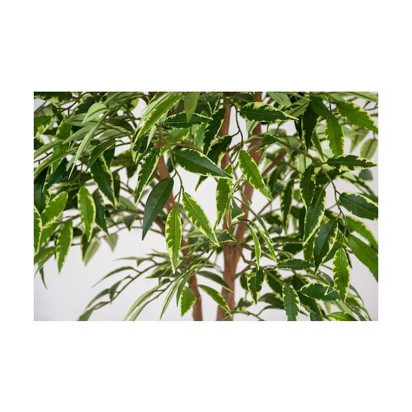 グリーンクロス 人工樹木/人工観葉植物 シラカシ 6300028760_1