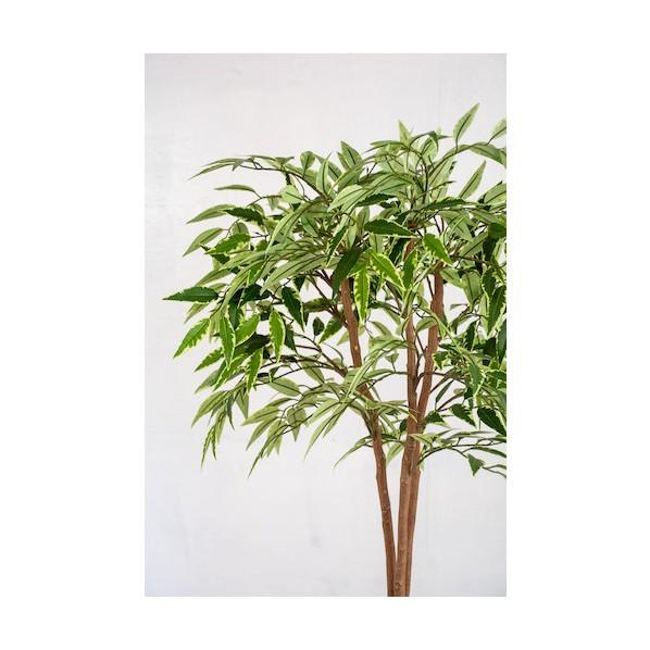 グリーンクロス 人工樹木/人工観葉植物 シラカシ 6300028760_2