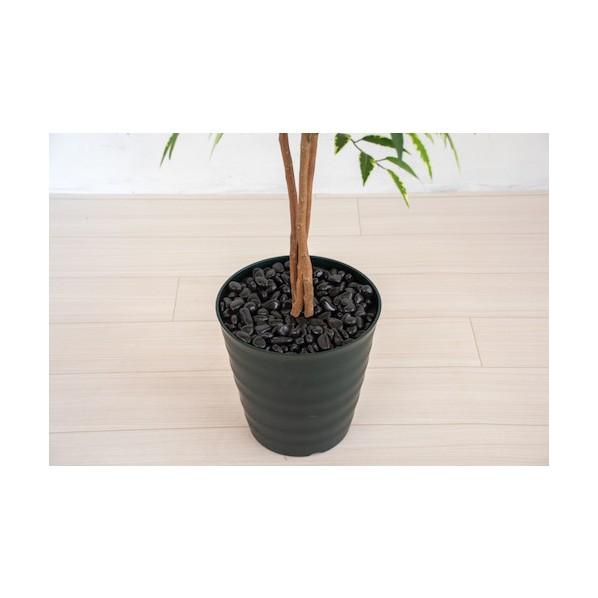 グリーンクロス 人工樹木/人工観葉植物 シラカシ 6300028760_3