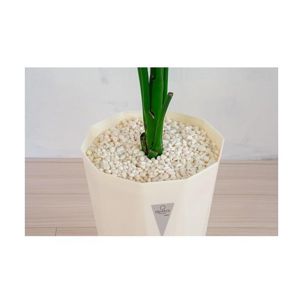 グリーンクロス 人工樹木/人工観葉植物 ストレチア 6300028786_1