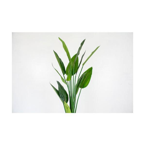グリーンクロス 人工樹木/人工観葉植物 ストレチア 6300028786_2