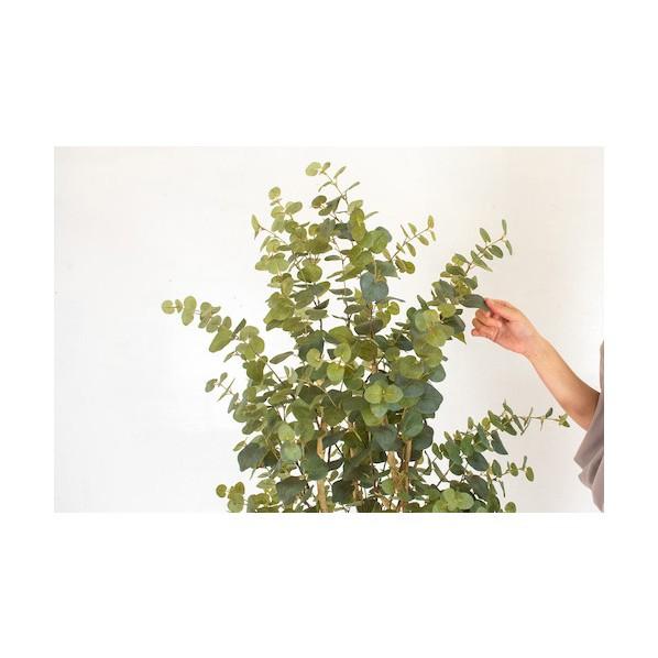 グリーンクロス 人工樹木/人工観葉植物 ユーカリ 小 グリーン 6300033746 1個_1