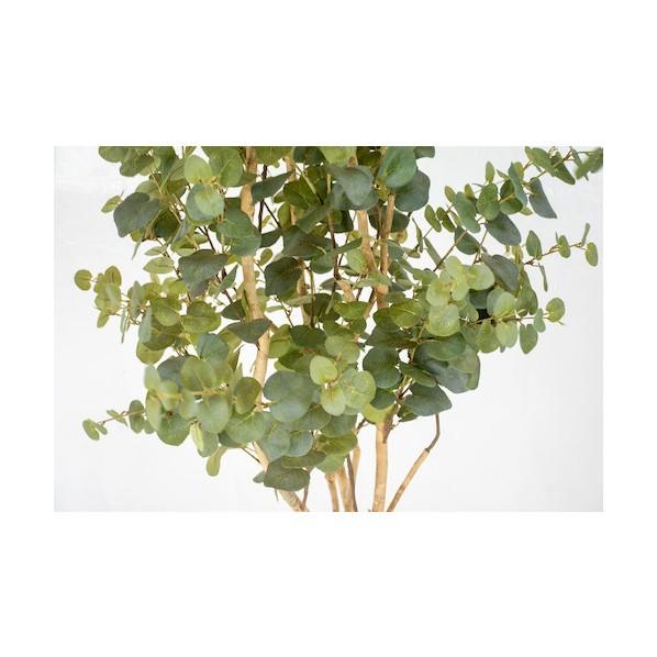 グリーンクロス 人工樹木/人工観葉植物 ユーカリ 小 グリーン 6300033746 1個_2