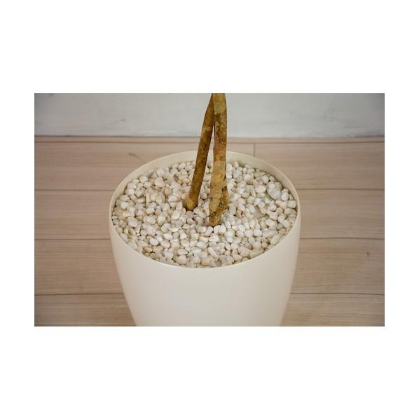 グリーンクロス 人工樹木/人工観葉植物 ユーカリ 小 グリーン 6300033746 1個_4