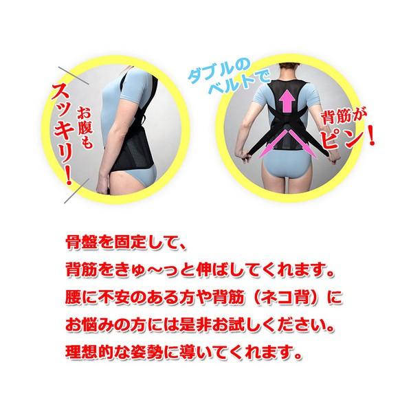 Dr.House 背筋骨盤補正ダブルベルト＜2枚組｜M L＞ : はぴねすくらぶYahoo!ショップ - 通販 - Yahoo!ショッピング | グリーンクロス 骨盤グイッと背筋Sラインベルト 猫背 腰痛対策 背筋骨盤補正 L〜LL 白 6300056110 1個 | その他ガーデニングウェア | ブランド登録なし
