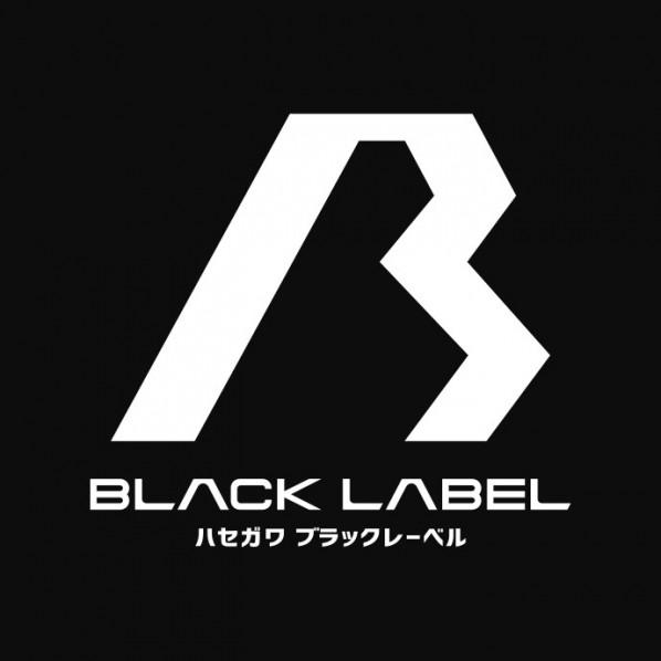 長谷川工業 はしご兼用脚立(BLACK LABEL) 4段 RHB-12｜diy-tool｜09