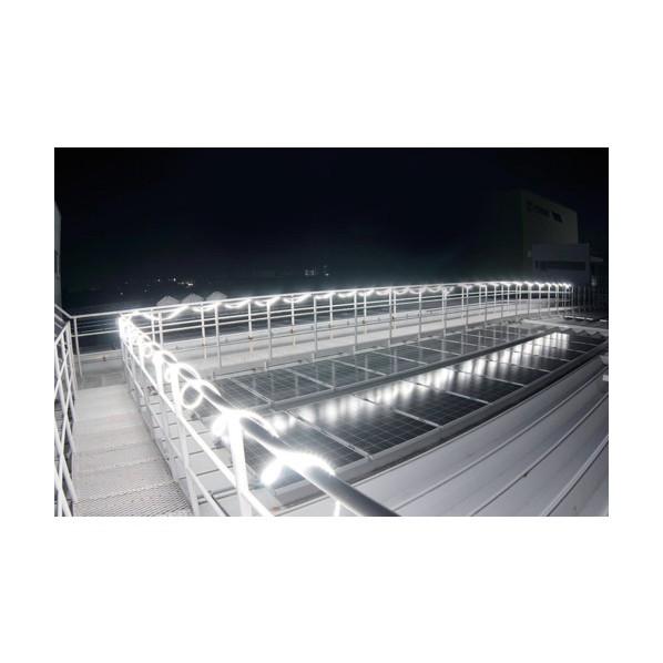ハタヤ(HATAYA) LEDテープライト ハイクラス両面セット 10m HLTP10DS