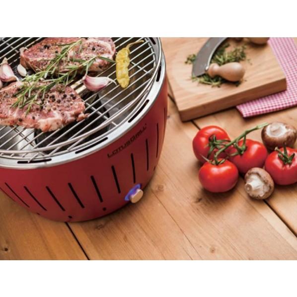 HAFELE ロータスグリル Sサイズ お試し炭・USBケーブル付