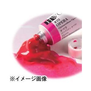 ホルベイン画材 HWC2号W40524色セット 5ml｜diy-tool｜02