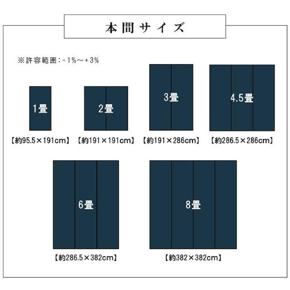 イケヒコ・コーポレーション ウィード PP ネイビー 江戸間8畳 2121508 1枚_11