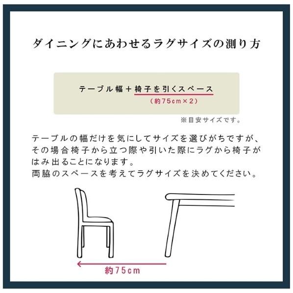 イケヒコ・コーポレーション ウィード PP ネイビー 江戸間8畳 2121508 1枚_9
