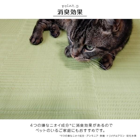 イケヒコ・コーポレーション リリーフ グリーン 348×352cm 1090610121302 1個の画像