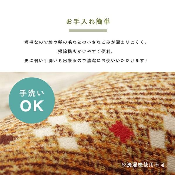 イケヒコ・コーポレーション ラディ ミックス 200×250cm 1271840303201 1個_7