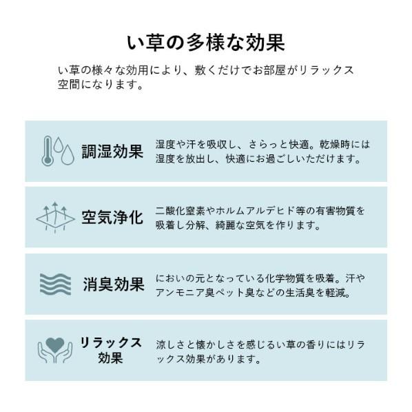イケヒコ・コーポレーション ダイヤ ブルー 190×250cm 1070810044203 1個の画像