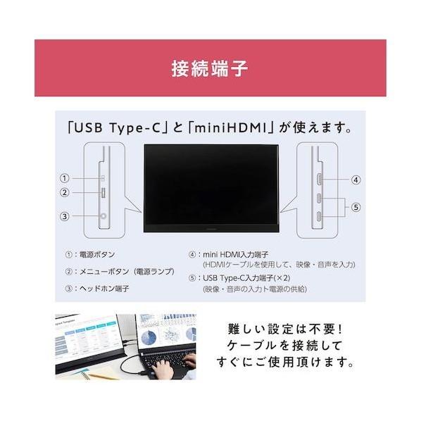 IRIS OHYAMA（アイリスオーヤマ） ポータブルモニター ブラック ILD