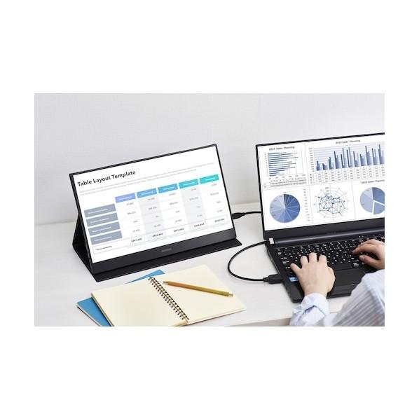 IRIS OHYAMA（アイリスオーヤマ） ポータブルモニター ブラック ILD