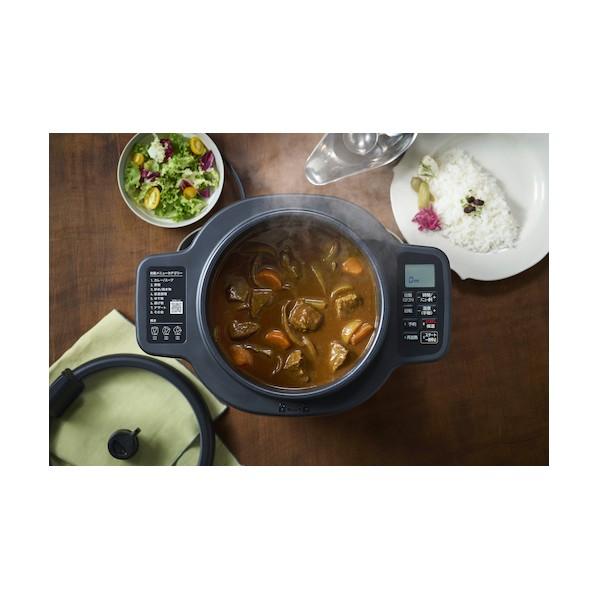 IRIS OHYAMA（アイリスオーヤマ） 290390 自動かくはん式調理機 CHEF