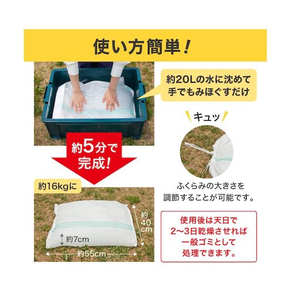 アイリスオーヤマ　緊急簡易土のう　10枚入り×4袋　H-DNW5 IRIS OHYAMA（アイリスオーヤマ） 緊急簡易土のう10枚スタンダード H