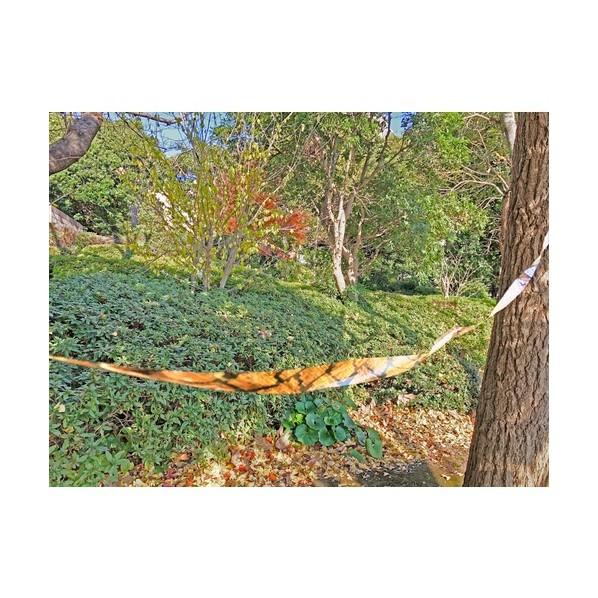 イノベックス スネークテープ 1Pk=2色入り(ヘビ柄緑1巻、ヘビ柄