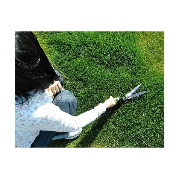 ゴールデンスター これが日本の芝生鋏 2105 1 : DIY FACTORY ONLINE