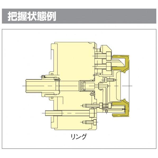 ※法人専用品※北川鉄工所 デュアルロックチャック DL208 カ゛イケイハアクの画像