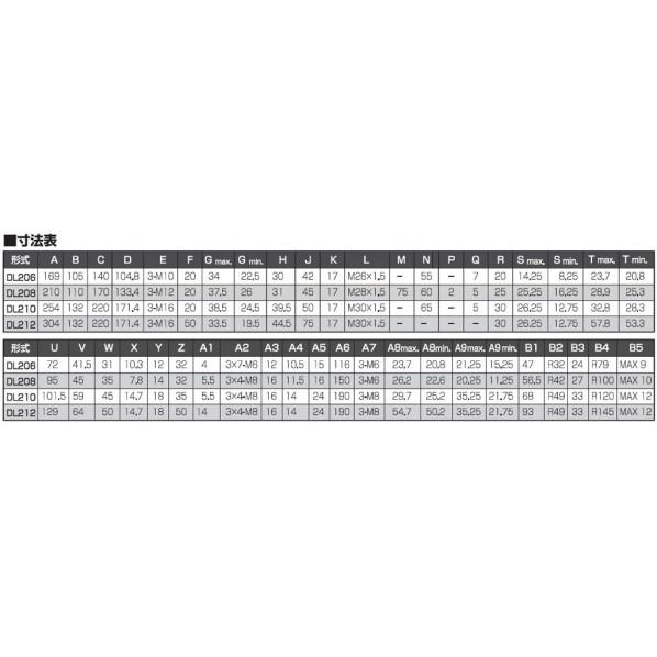 ※法人専用品※北川鉄工所 デュアルロックチャック DL208 カ゛イケイハアクの画像