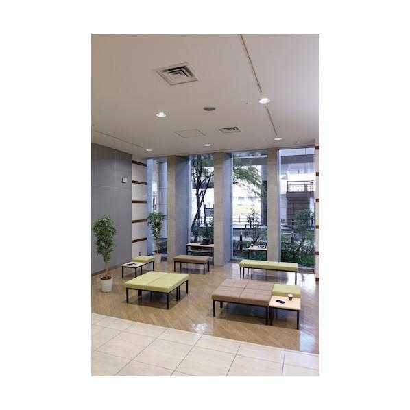 弘益 ロビーチェア2人掛 ASO-L02W(PK)