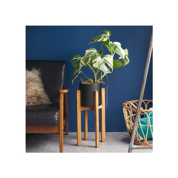 美芸鉢 懸崖鉢 和鉢 ミニ鉢 2点セット 美芸鉢 懸崖鉢 和鉢 ミニ鉢 2点