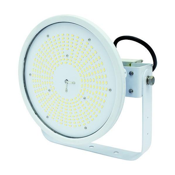 日動工業 施設用LED 11756