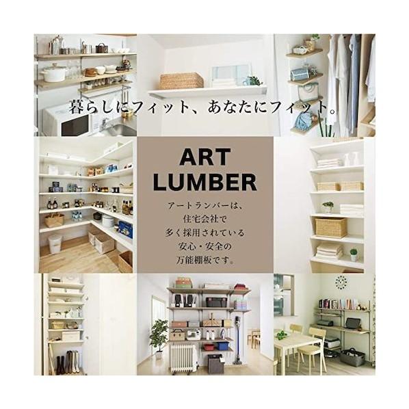 南海プライウッド アートランバーOタイプ  O27-1M3-LW シェルホワイト 0425841701 1枚の画像