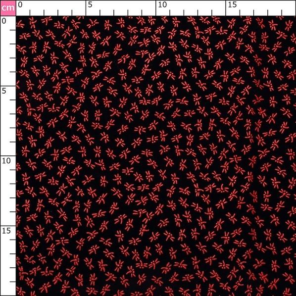 日本紐釦貿易(Nippon Chuko) 日本紐釦貿易 印伝調合皮スエードレザー生地 トンボ柄 赤 巾92cm×9m切売カット KP4080-12D-9M 9mの画像