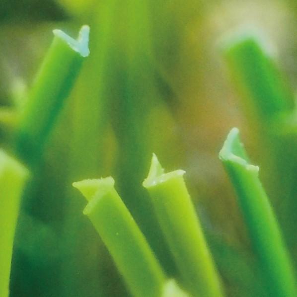 ※法人専用品※オンリーワンクラブ リアルグラス人工芝SG 2m×10m GM2-RG32 1巻の画像