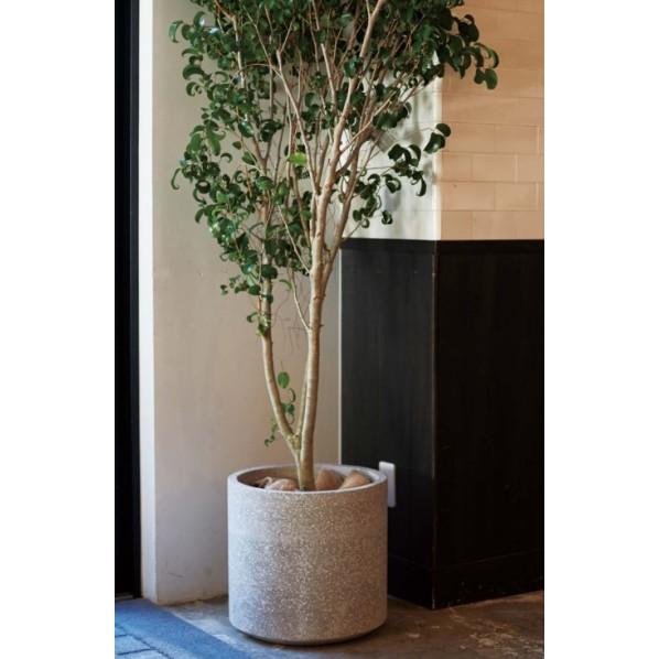 オンリーワンクラブ コーテス シリンド 40 グレーテラゾ M YA3-C7T13の画像