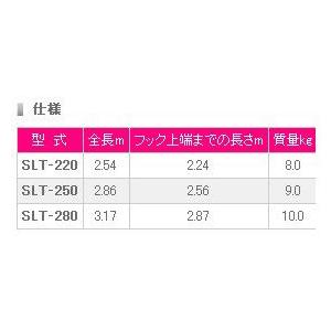 ピカ 伸縮はしご SLT-250｜diy-tool｜03